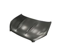 PRASCO Capó Compatible Para Nissan Qashqai +2 I J10 JJ10 DS7113100