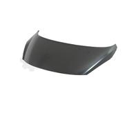 PRASCO Capó Compatible Para Peugeot 207 CC WD_ WA_ WC_ WK_ PG3203100