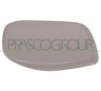 PRASCO Cubierta Retrovisor Exterior Izquierda Apto para BMW 5er Touring E61 E60