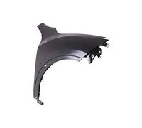PRASCO DS7023033 Guardabarros con orificios para ampliaciones Delante, derecha Compatible con NISSAN JUKE F15