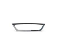 PRASCO DW3272206 Listón embellecedor / protector, panal de radiador