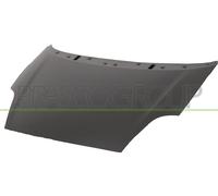 PRASCO FT3423100 Capó Compatible con FIAT GRANDE PUNTO 199, ABARTH Grande Punto 199