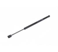 PRASCO Gasfeder, Koffer-/Laderaum FD4229053