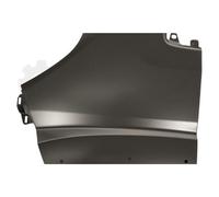 PRASCO Guardabarros Delantero Izquierdo para Fiat Ducato Camión/Chasis 250