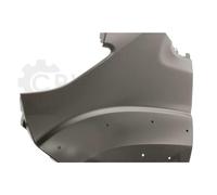 PRASCO Guardabarros Delantero Izquierdo para Fiat Ducato Camión/Chasis 250 250_