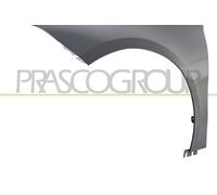 PRASCO Guardabarros Delantero Izquierdo para Mercedes-Benz W177 V177