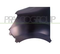 PRASCO Guardabarros Delantero Izquierdo para Renault Master III Caja Fv Ev Hv UV
