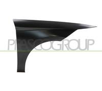PRASCO Guardabarros Eje Delantero Derecho Compatible Para Seat Ibiza V KJ1