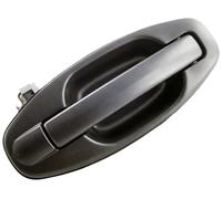 Manija exterior trasera derecha con imprimación Hyundai Santa Fe (Cm)-(Año 20...