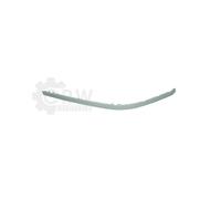 Parachoques - moldura decorativa/protectora BLIC 5703-05-0065930PQ derecha