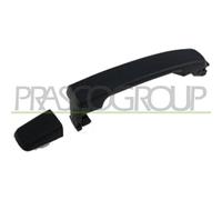 PRASCO Manecilla de puerta DS8148017 Delante, derecha exterior Atrás izquierda Atrás derecha liso