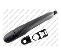 PRASCO Manija de Puerta Trasero Derecho Delantero Exterior para Renault Kangoo /