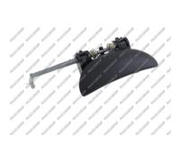 Prasco Manija Exterior Delantera Derecha Para Peugeot 206 CC 2D 2A/C 2E/K Negro