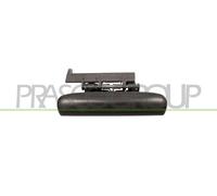 Prasco Manija Exterior Trasera Derecha Para Citroën Xsara N1 N2 Negro CI4208101