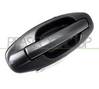 PRASCO Manija Exterior Trasero Izquierdo para Hyundai Santa Fe i Sm Imprimado