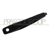 PRASCO MB7108001 Manecilla de puerta