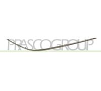 PRASCO ME0271247 Protector para parachoques Delante, derecha Compatible con MERCEDES-BENZ Clase C Sedán W203 Clase C T-modell S203