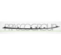 PRASCO ME0471243 Listón embellecedor/protector panal de radiador Delante, Derecha