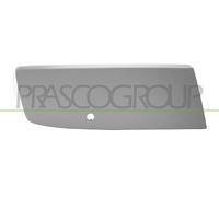 PRASCO Ornamento Listón Protector Parachoques Delantera De Derecho para VW