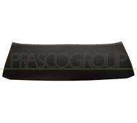 PRASCO Ornamento Listón Protector Parachoques Delantera De para Ford Kuga II DM2