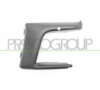 PRASCO Ornamento Listón Protector Parachoques Frontal Derecho para Ford Focus IV