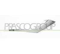 PRASCO Ornamento Listón Protector Parachoques Frontal Derecho para Mitsubishi