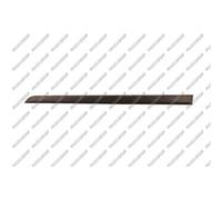 PRASCO Ornamento Listón Protector Puerta Delant. Izq. para Opel Astra Alto L48