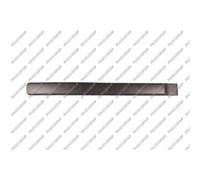 PRASCO Ornamento Listón Protector Puerta Delante Derecha para Peugeot Partner