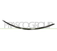 PRASCO Ornamento Protector Parachoques Trasero Izquierda para Mercedes-Benz