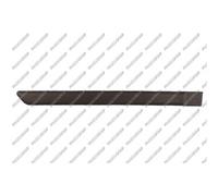 PRASCO Ornamento Protector Puerta Trasera Derecha para Fiat Panda 169 FT1221453