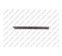 PRASCO Ornamento Protector Puerta Trasera Derecha para VW Golf V 1K1 VG0361453