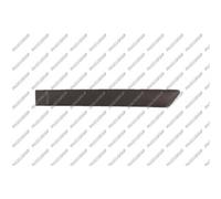 PRASCO Ornamento Protector Puerta Trasera Izquierda para Ford Fiesta V Jh _ Jd _