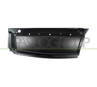 PRASCO Panel De Reparación Lateral Trasero Derecha Para Mercedes-Benz Sprinter