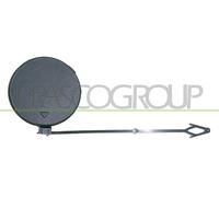 PRASCO Parachoques Delantero Izquierdo Compatible Para BMW X5 E70 BM8221238