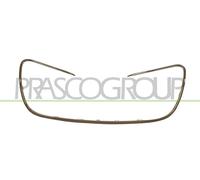 PRASCO Parrilla Del Radiador Apto para Peugeot 508 Sw I 8E _ 2.0 HDI 8D _ 1.6