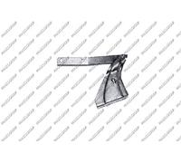 Prasco PG0073703 Enmarcado Protector para Automóviles