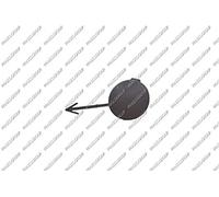Prasco PG3201236 Enmarcado Protector para Automóviles