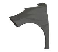 PRASCO PG3203014 Guardabarros sin orificio para luz intermitente Delante, izquierda Compatible con PEUGEOT 207 WA, WC 207 SW WK 207 CC WD