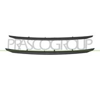 PRASCO PG5001245 Listón embellecedor/protector panal de radiador negro