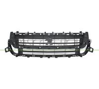 PRASCO PG9122001 Rejilla delantera negro Compatible con PEUGEOT Partner II Furgoneta PARTNER Tepee PARTNER Caja/Chasis