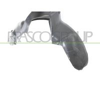 PRASCO Protector Paso Rueda Guardabarros Interior Forro Delantero Izquierdo para