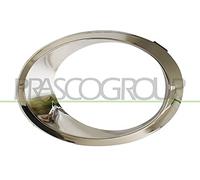 Prasco Rahmen, Nebelscheinwerfer FD1141250