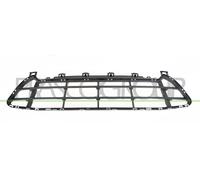 PRASCO Rejilla De Ventilación Parachoques Delantero Compatible Para BMW X1 F48