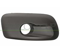 PRASCO Rejilla Parachoques Frontal Derecho para Citroën C3 Picasso CI7052133
