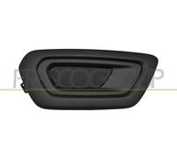 PRASCO Rejilla Parachoques Frontal Derecho para Ford Transit Caja Fcd