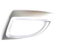 Prasco RN0361242 Carcasa, faro antiniebla