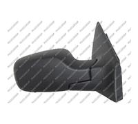 PRASCO RN3257313P Espejo retrovisor calefactable con sensor de temperatura convexo derecha Compatible con RENAULT Clio 3 Hatchback BR0/1, CR0/1 Clio 3 Grandtour KR0/1