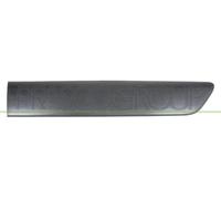 PRASCO RN9161454 Listón embellecedor/protector puerta Atrás izquierda negro Compatible con RENAULT KANGOO Express FC0/1 KANGOO KC0/1