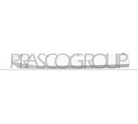 PRASCO SB7042203 Listón embellecedor/protector panal de radiador derecha