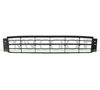 PRASCO SK3282120 Rejilla de ventilación parachoques delante Compatible con SKODA FABIA Ranchera familiar NJ5 FABIA NJ3